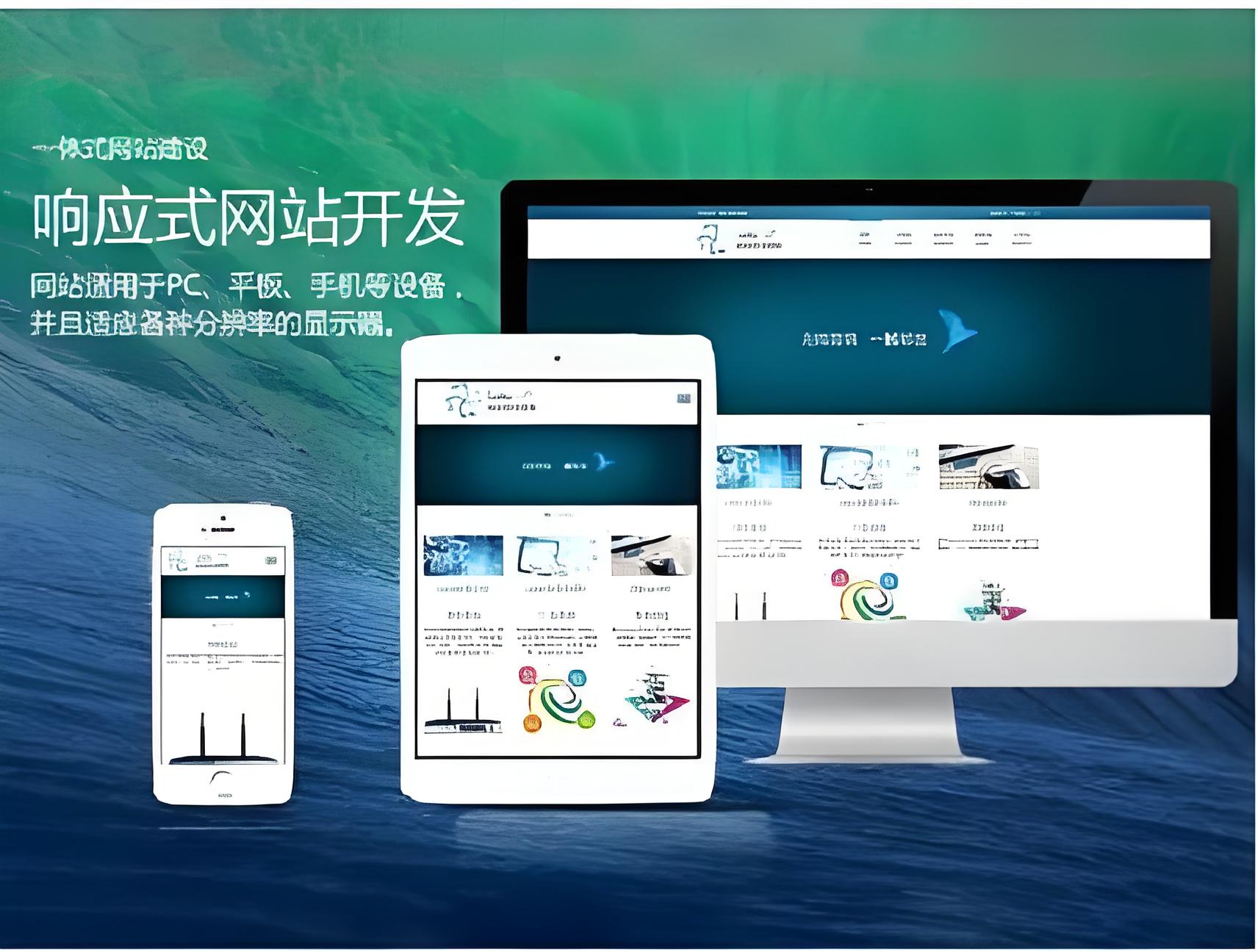 台湾成人dvd专卖店网站建设费用